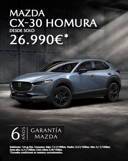 banner web movil mazda2
