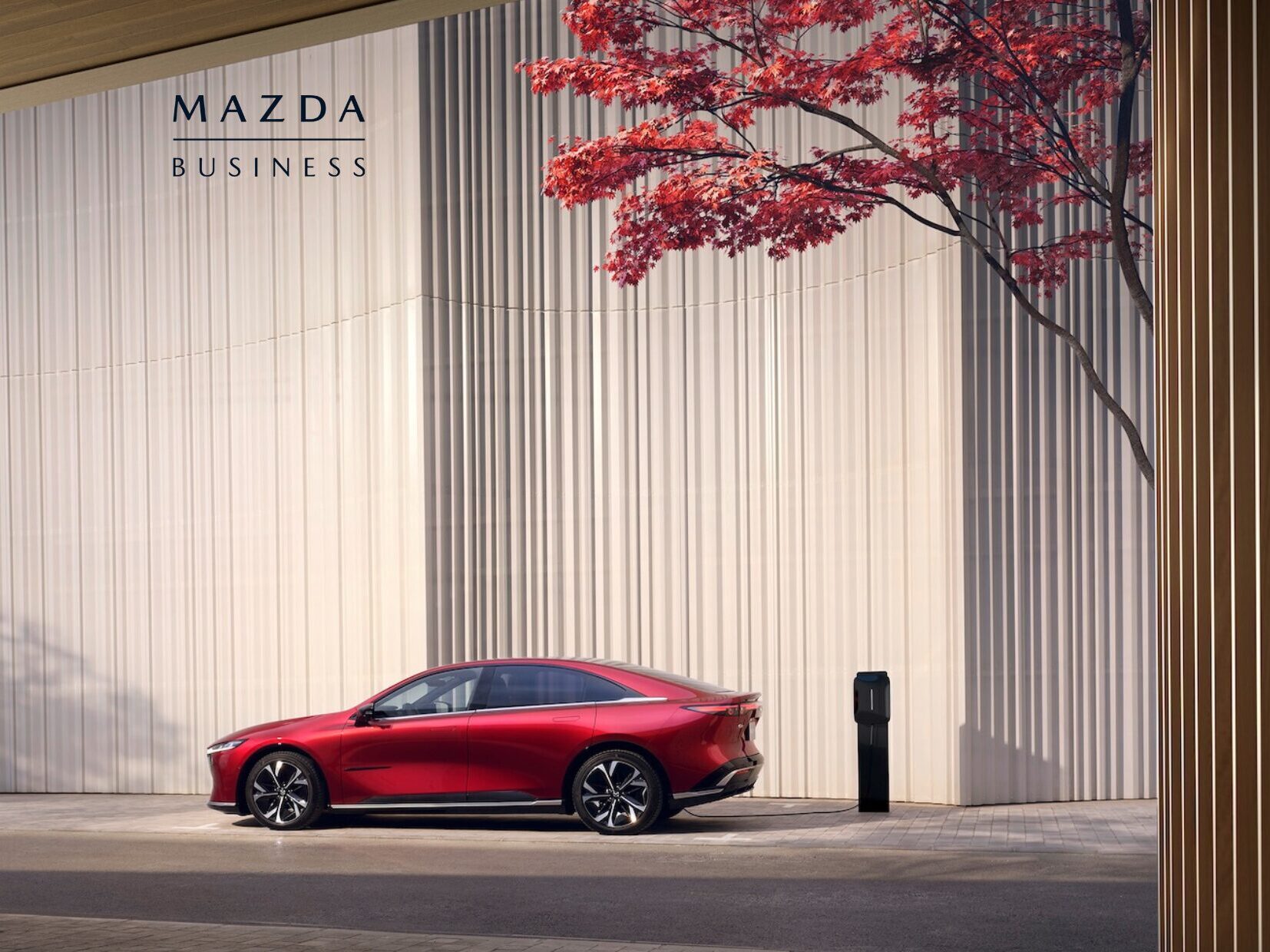 Autoriente, concesionario Mazda Business certificado