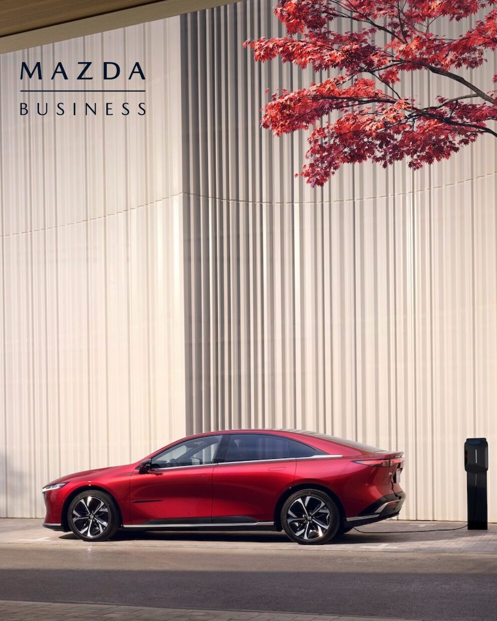 2mbc_mazda6_prueba_mbc-1-copia-aspect-ratio-1-1.25