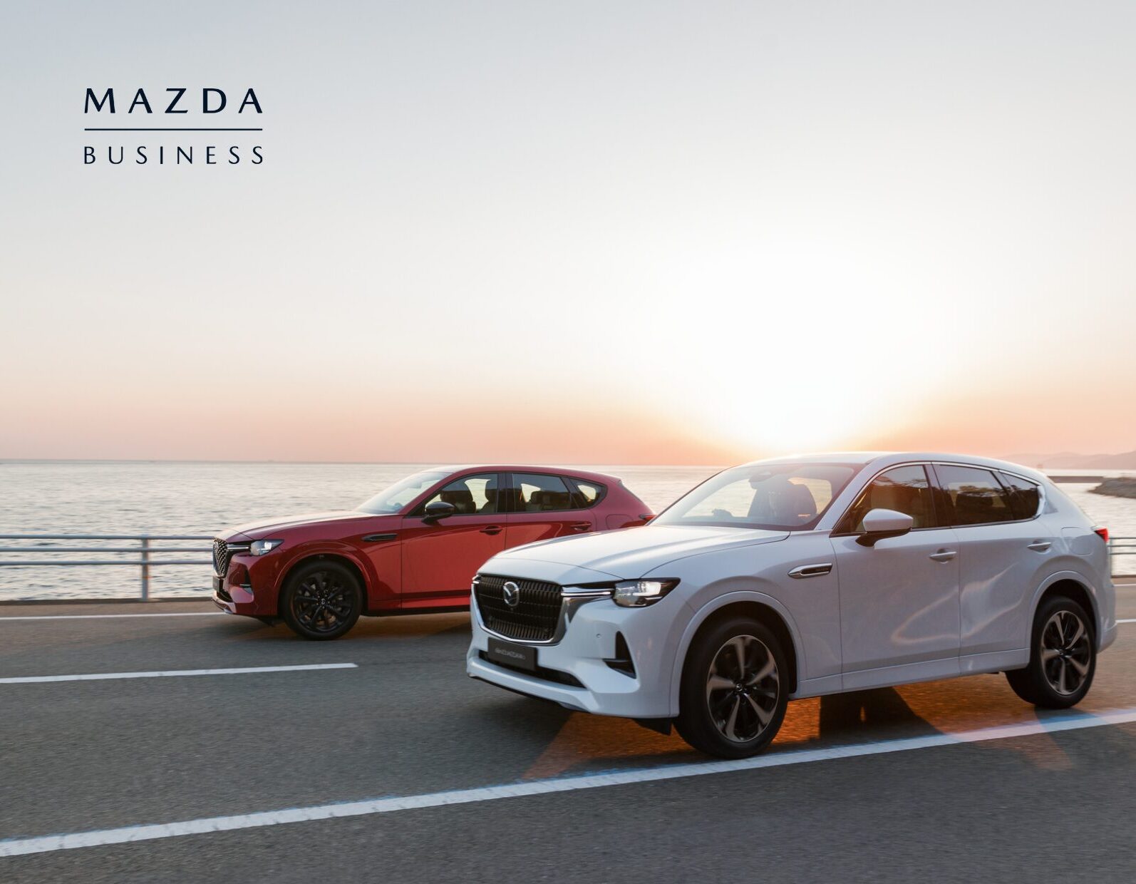Mazda CX-60: Renting empresas Tu próximo coche de empresa, un Mazda CX-60 