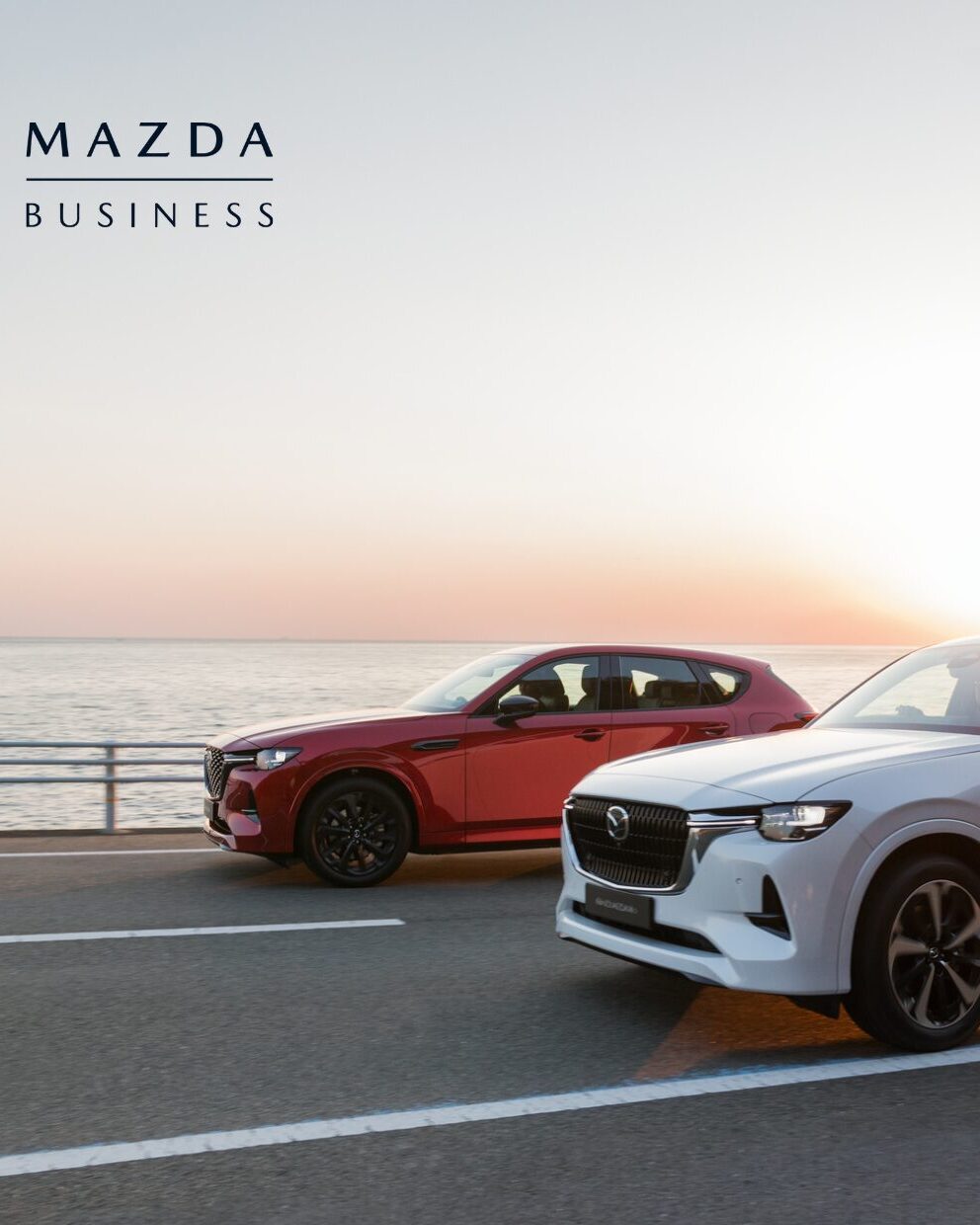 2prueba_mbc-1-aspect-ratio-1-1.25