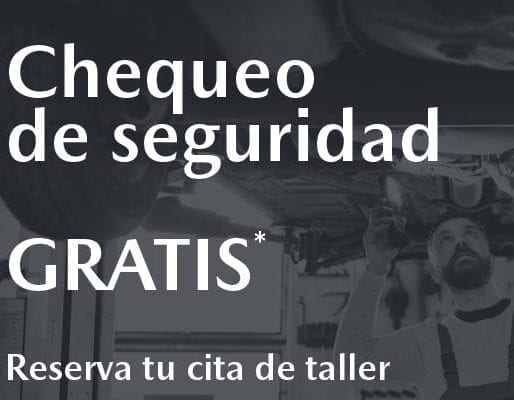 Chequeo de seguridad FIN DE GARANTÍA